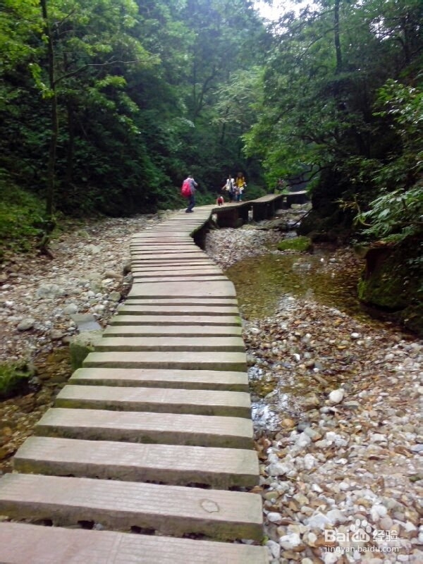 青城后山游览