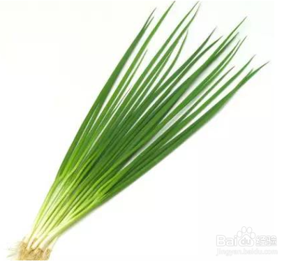 驱蚊有妙招,蚊子快快逃