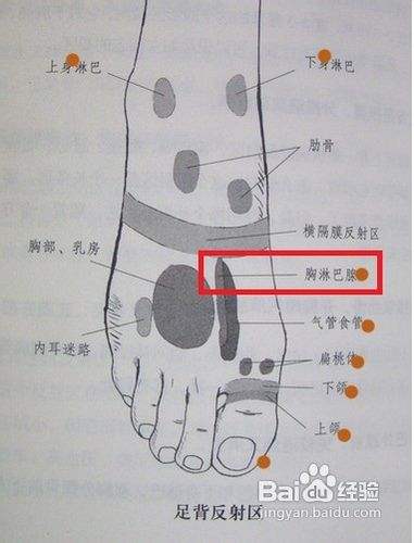 在双足背第一,第二跖骨间的凹陷处确定胸部淋巴腺反射区,同样按压60下