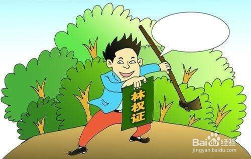 成立村级经济股份合作社有哪些好处?