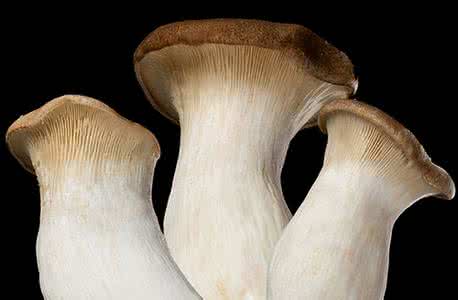 这个夏天凉拌小菜白菜心拌杏鲍菇,吃起来不要太爽哦!