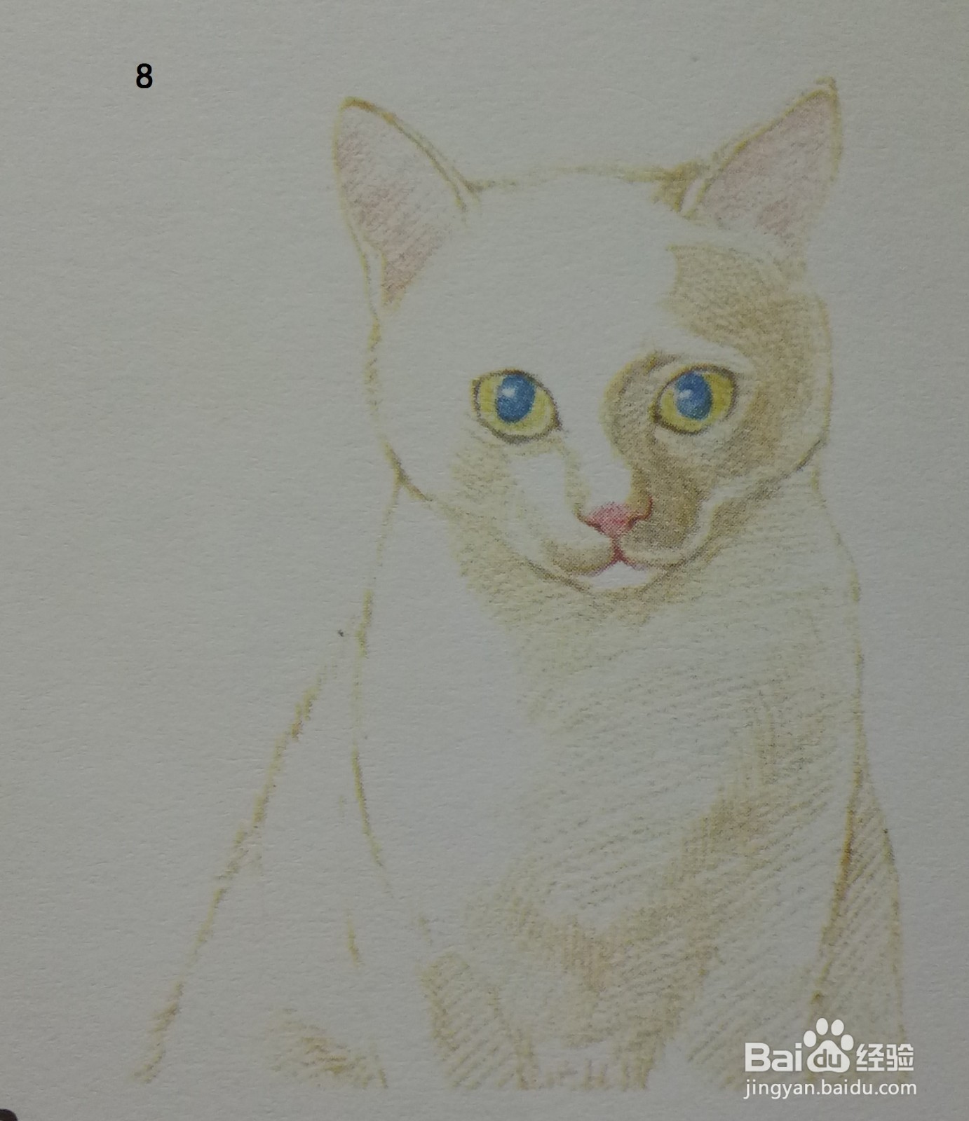 色铅笔画浅黄色小猫咪(素描进阶)