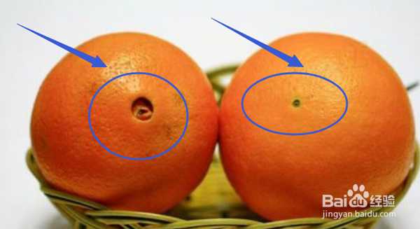 怎么挑到甜的橙子