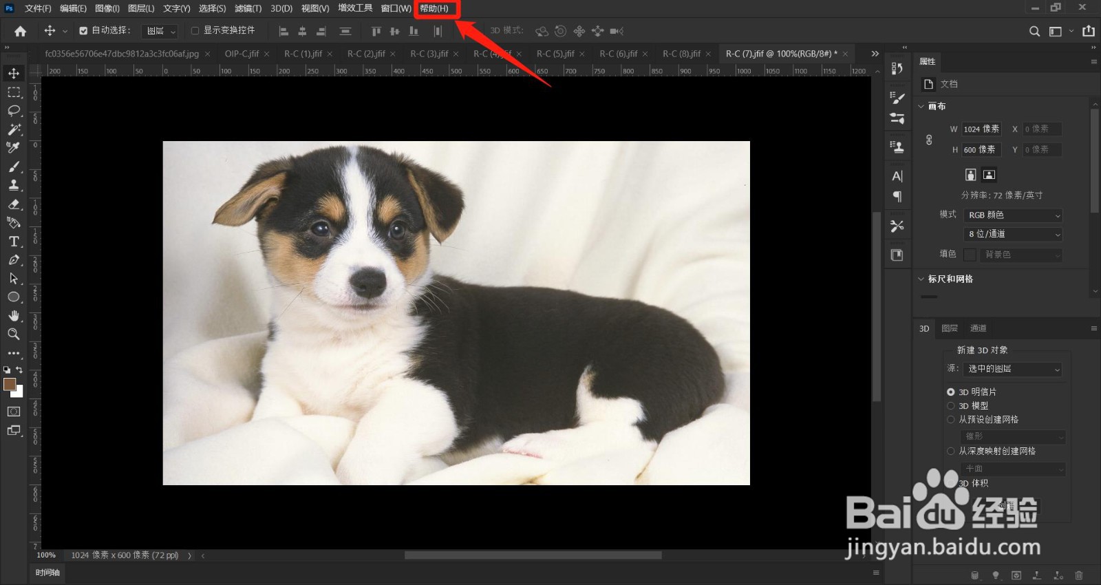 PS(Photoshop2022)如何查看软件启动次数