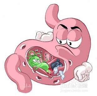 关于一些养胃的经验