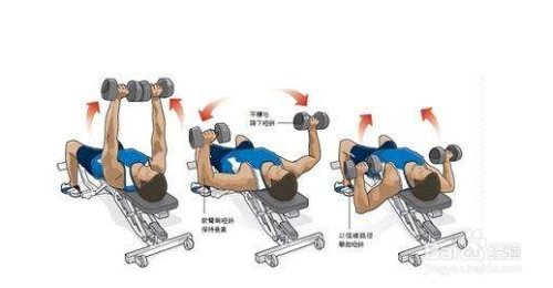 怎样用哑铃练胸肌(收藏版)