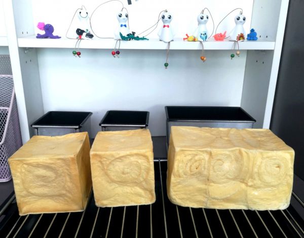 牛奶蛋黄手撕吐司