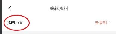 语鹊怎样录制语音
