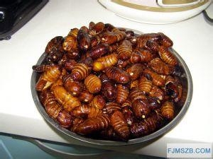 美食麻辣蚕蛹