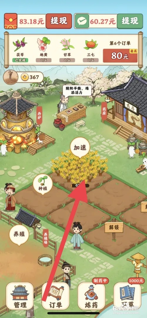 杏林世家如何种植连翘