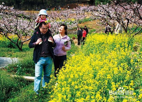 减肥 实用小方法 减掉大肚楠