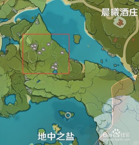 原神里面的蒲公英籽哪里可以采集