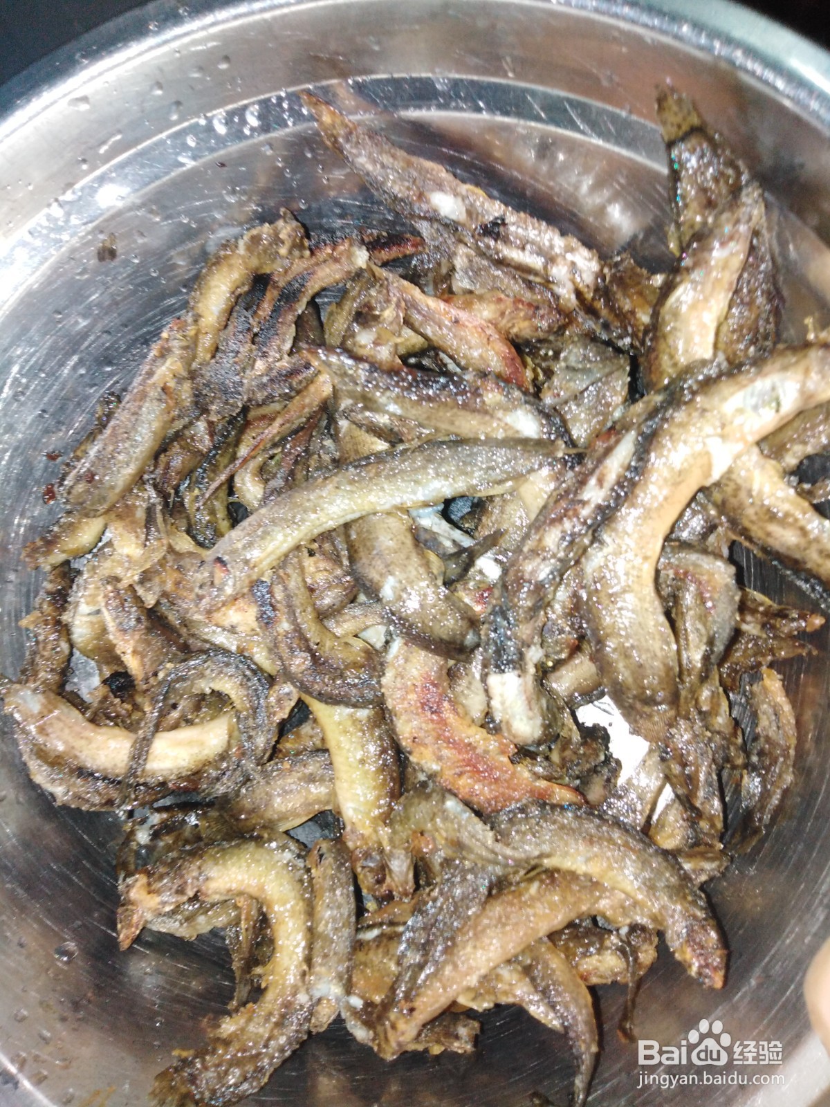 鳅鱼的最佳做法