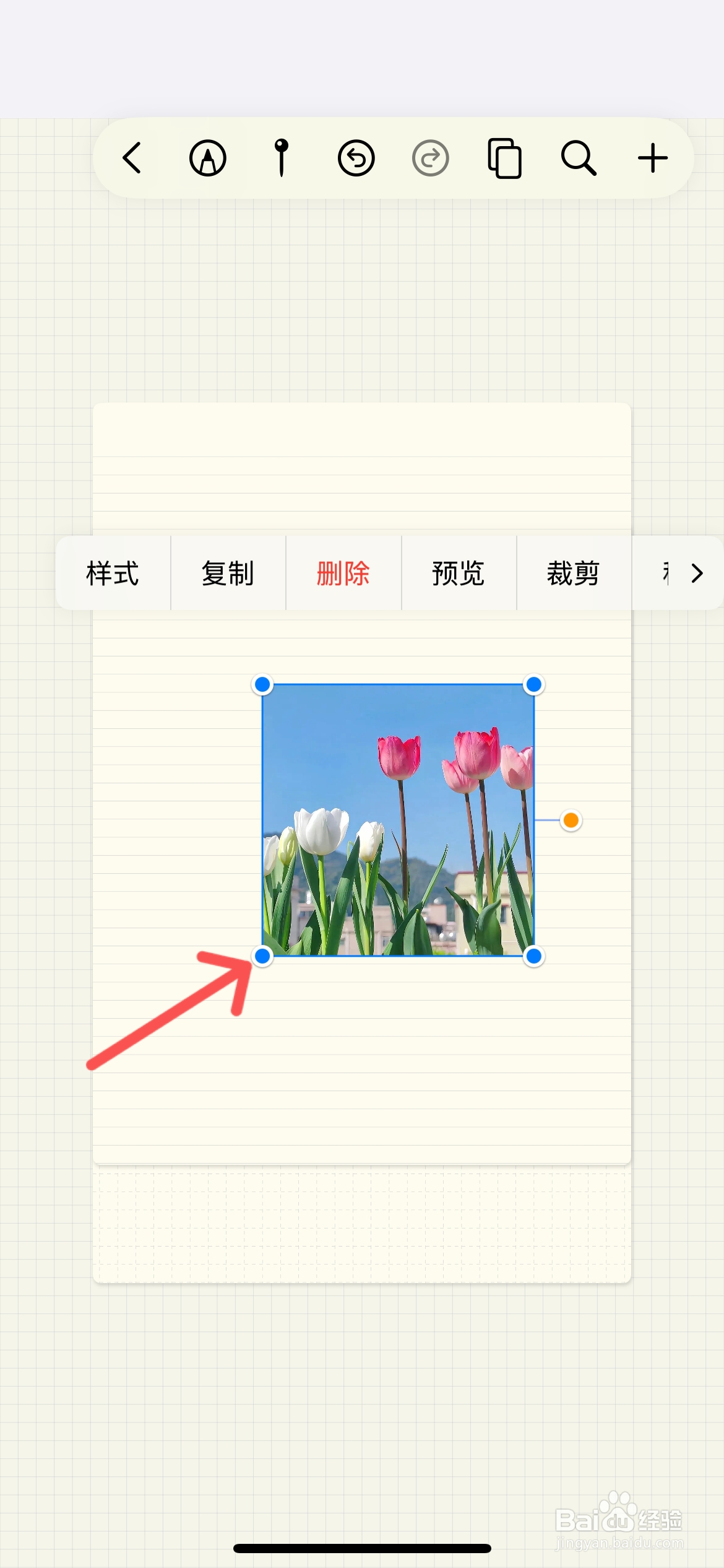 Prodrafts怎么在笔记中插入本地图片