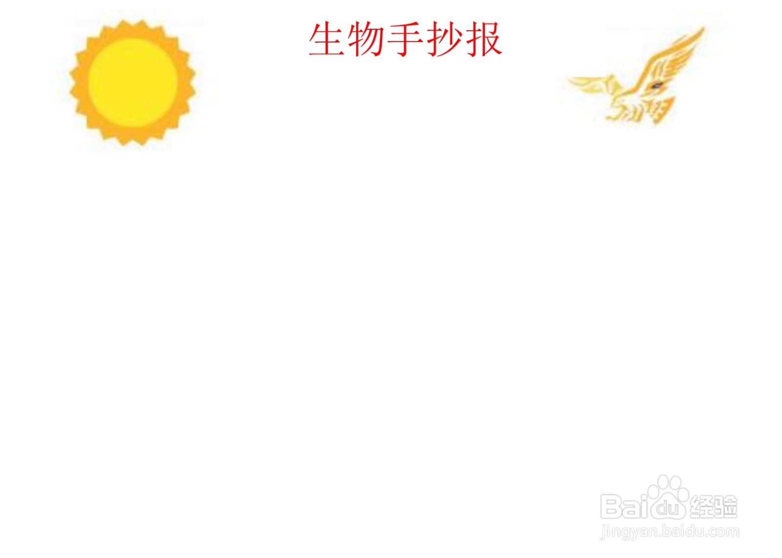 生物手抄报高中