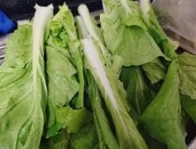 怎么做海米奶白菜