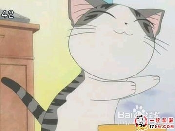 你是有强迫症的人吗