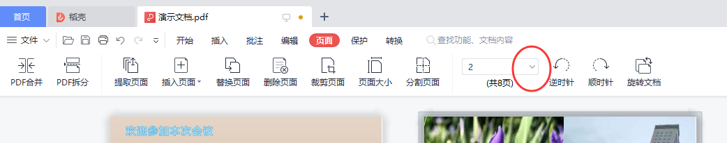 WPS PDF怎样快速选择奇数页面