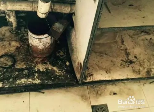 老鼠在吊顶上怎样去除