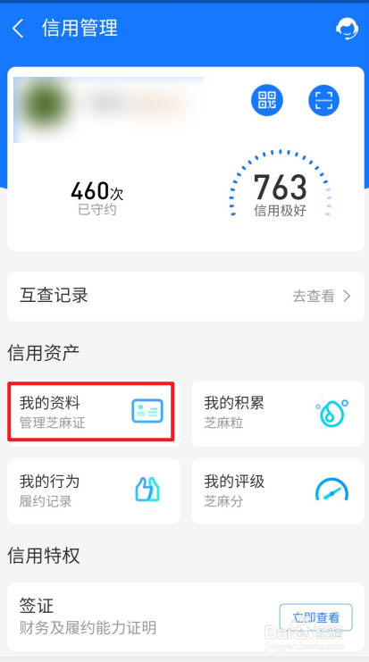 如何查看支付宝我的芝麻证