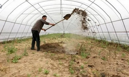 冬季施肥应该注意什么