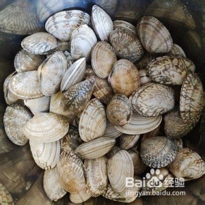 教你怎么做花甲丝瓜汤