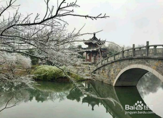 南昌梅湖冬雨后的风景, 既然如此的美