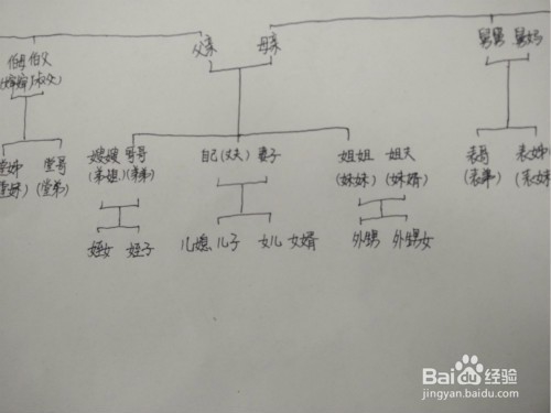 亲戚关系称呼图解