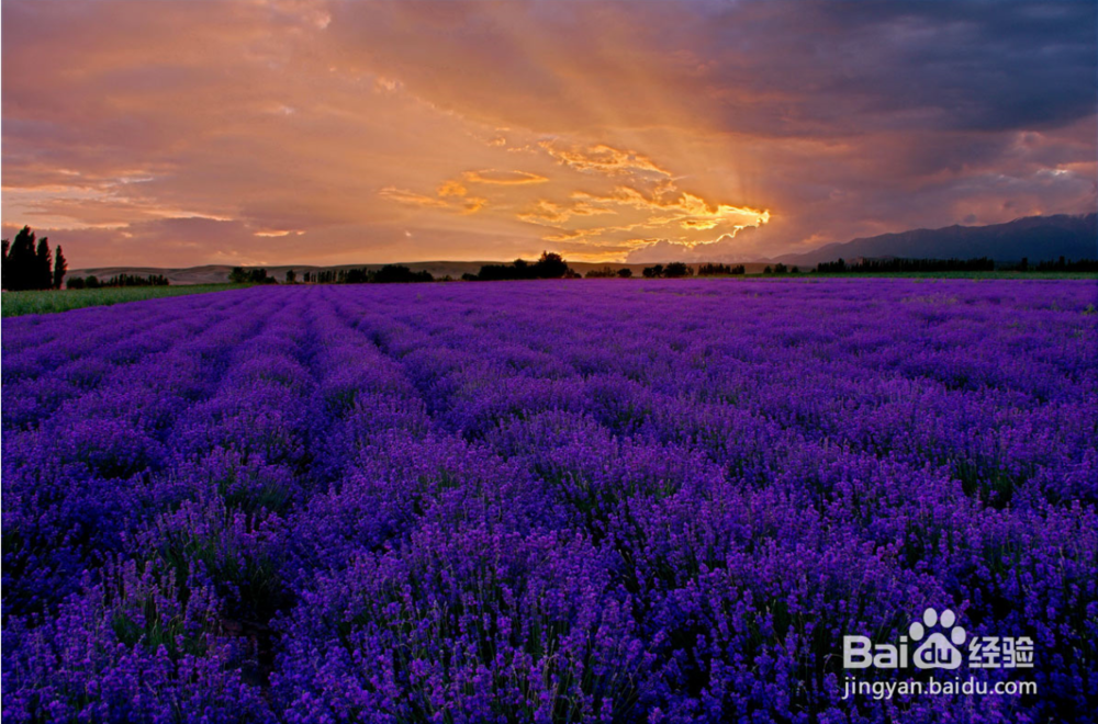 如何去控制情绪