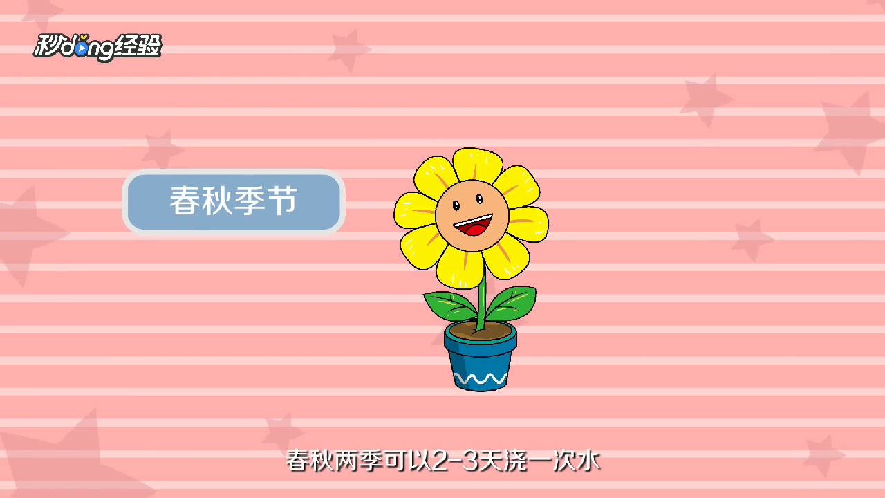 太阳花怎么养？