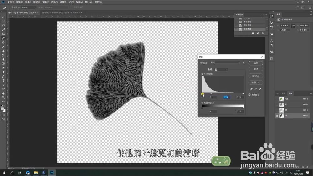 PS提取树叶脉络制作多彩树叶