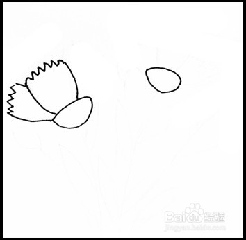 怎样画简笔画（花卉）：[10]康乃馨