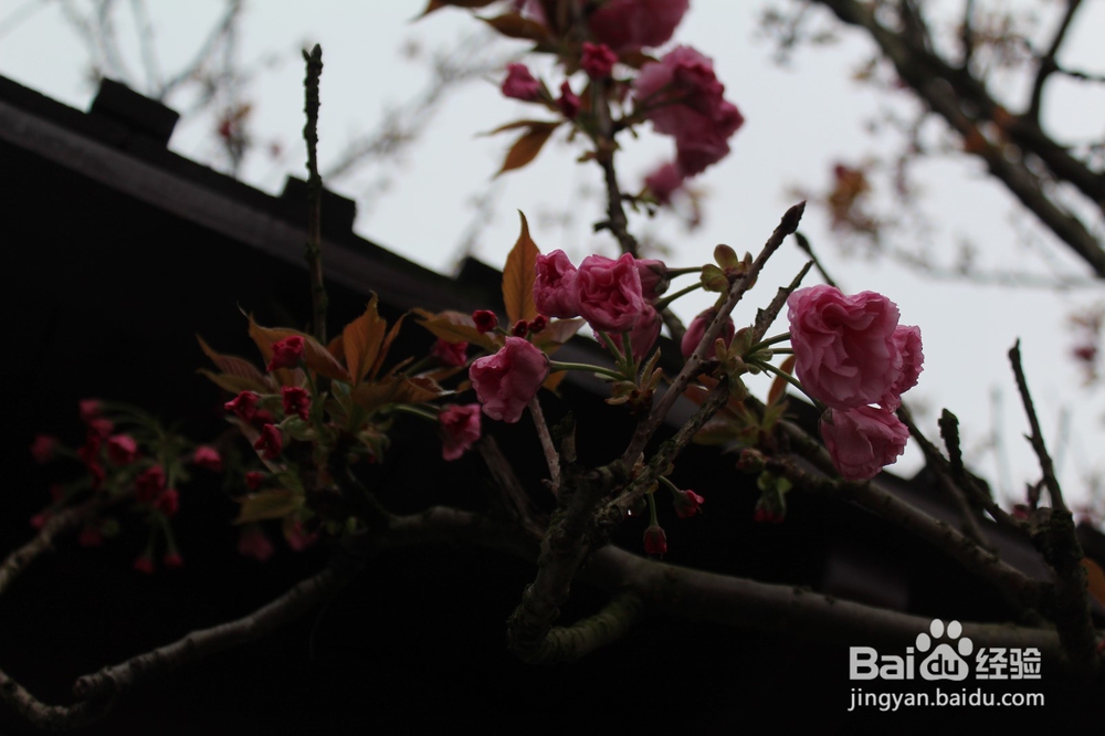 湖南长沙靖港古镇