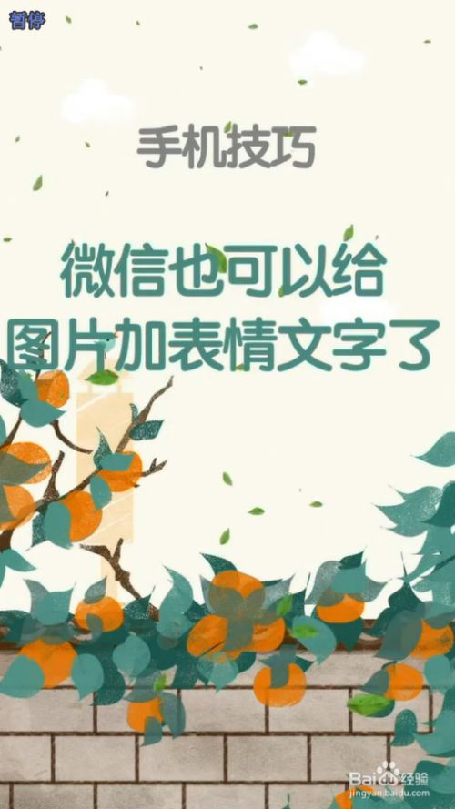 制作图片的软件加字_作图软件带古风字体的_手枪制作图