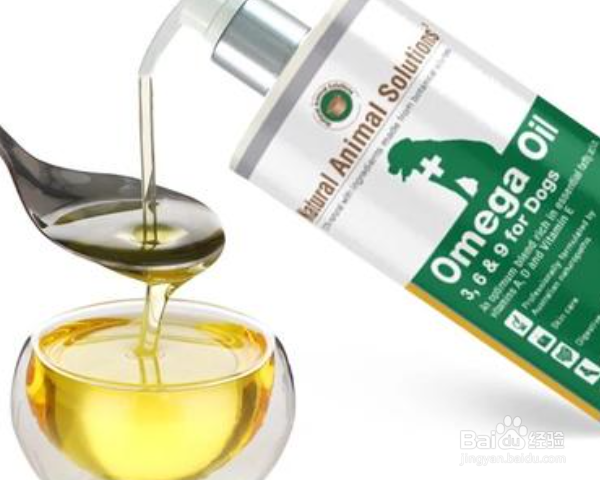 如何预防猫咪得猫藓