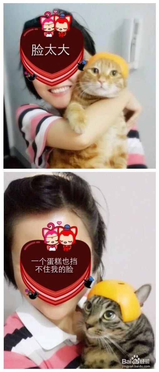 如何挑选适合自己的猫砂