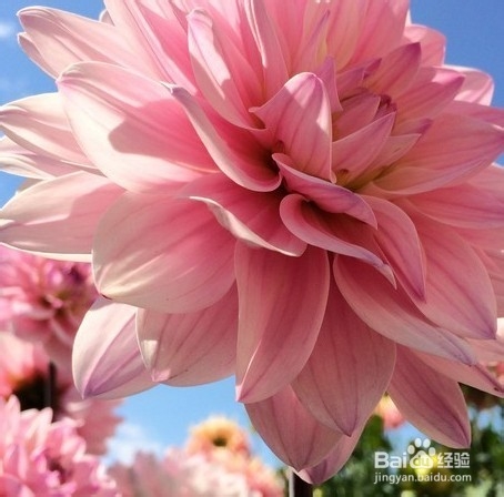 iphone5s和iphone5的区别