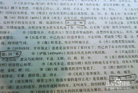 如何更好更高效的学习高中语文