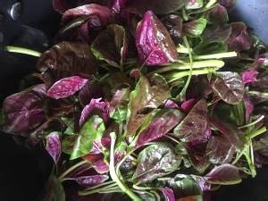 蒜蓉苋菜的做法