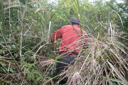 宜春城郊游玩周末徒步路线攻略