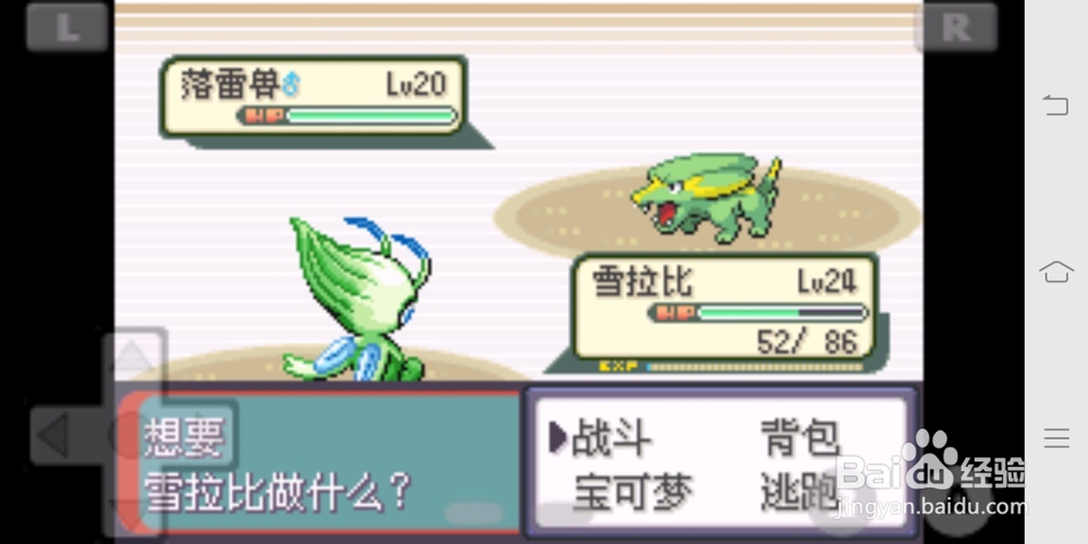 宝可梦绿宝石紫堇市道馆攻略