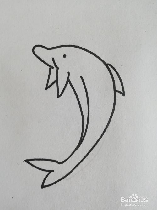 怎么画海豚卡通简笔画 海豚简笔画 百度经验