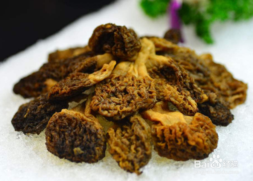 牛肚菌怎么做好吃