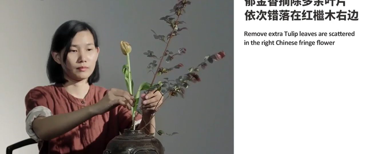 不如清欢的插花教程