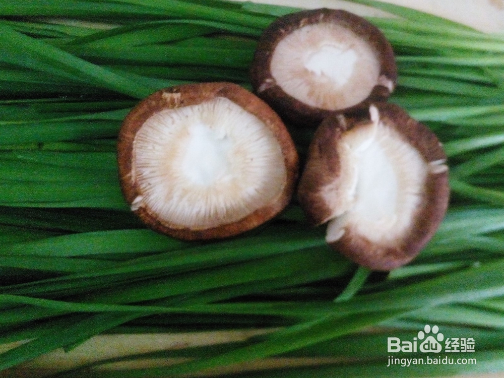 怎么做孩子爱吃的包子——三鲜包子