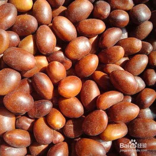 痒痒粉的简单制作方法