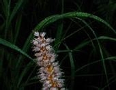 应急避险常识--楼房失火