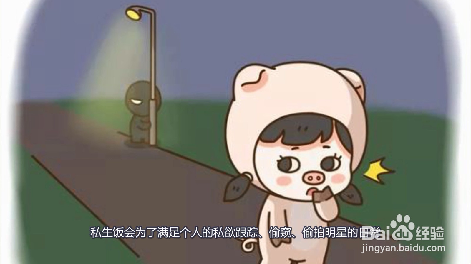 私生饭是什么意思