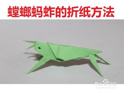 螳螂蚂蚱的折纸艺术