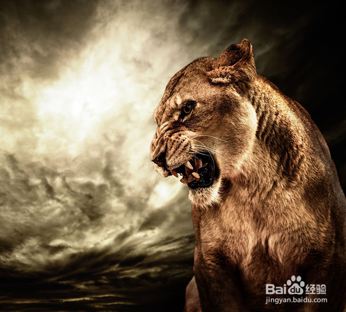 解决矛盾最佳方式，Be Yourself